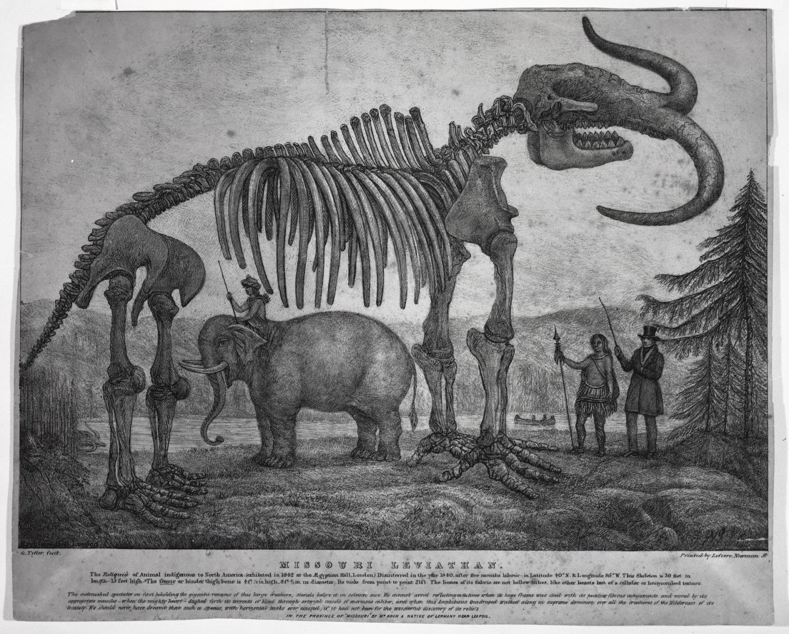 Missouri Leviathan